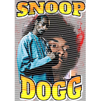 idol singer-GS  2047